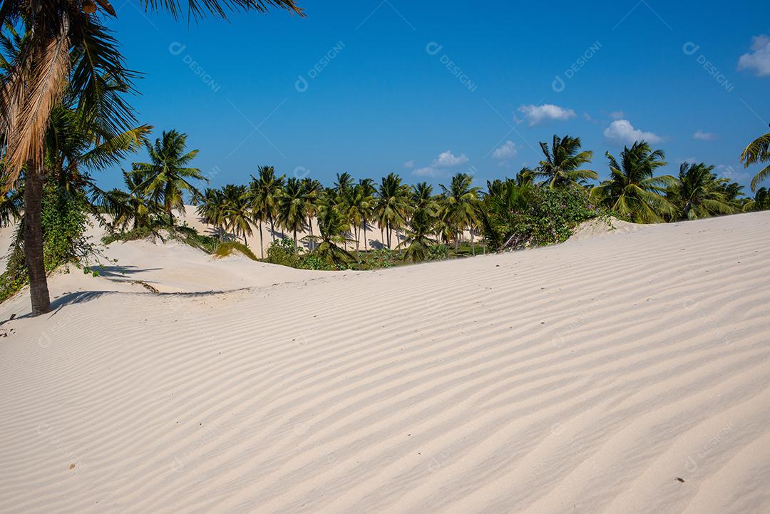 Lagoa de água doce perto da praia, com destaque para a areia branca em  Acarau, Ceará, [download] - Designi