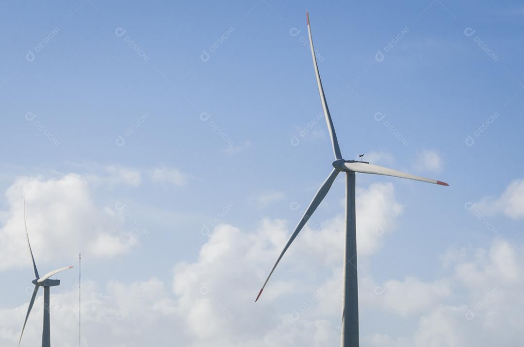 Moinhos de vento durante o dia de verão brilhante com céu azul, conceito de energia limpa e renovável.