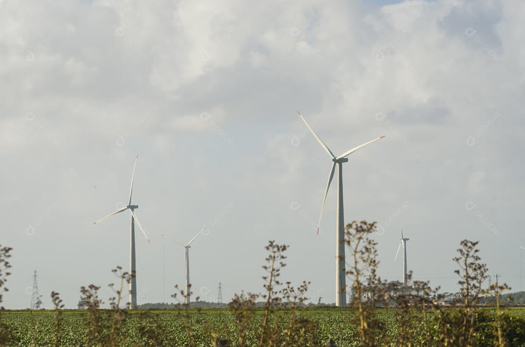 Moinhos de vento durante o dia de verão brilhante com céu azul, conceito de energia limpa e renovável.