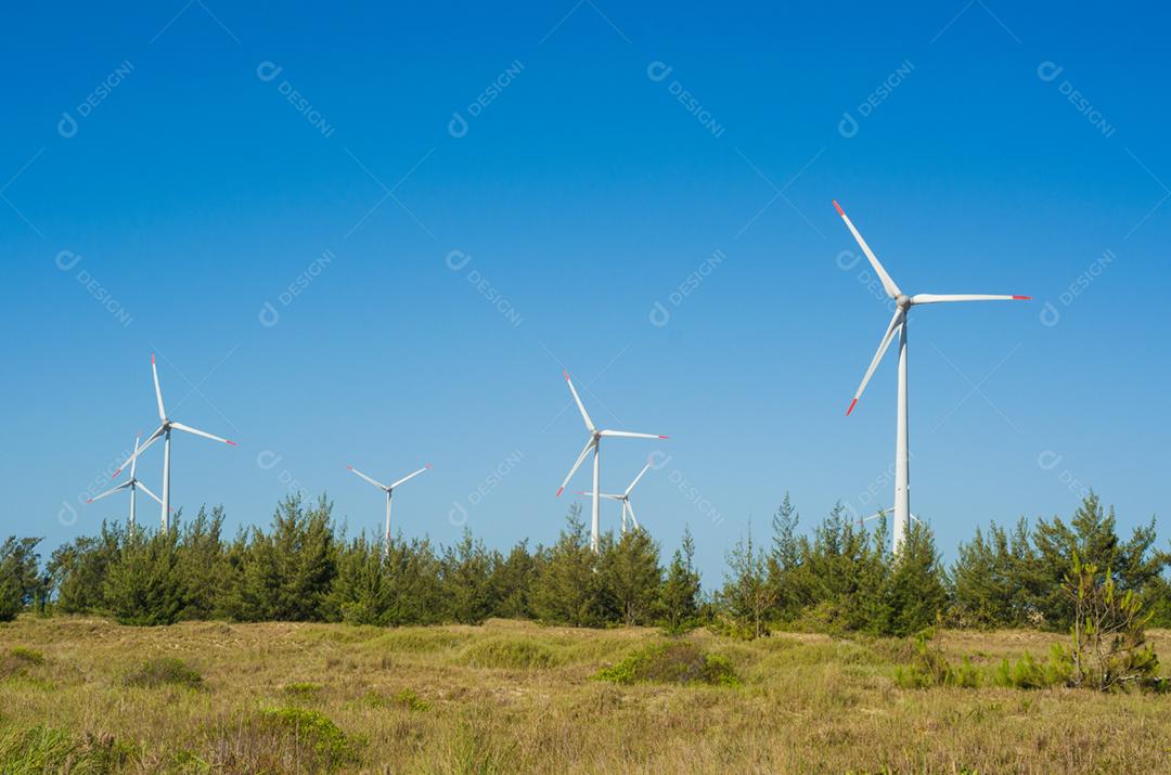 Grande conceito de energia renovável e sustentável. Campo de vento com turbinas eólicas
