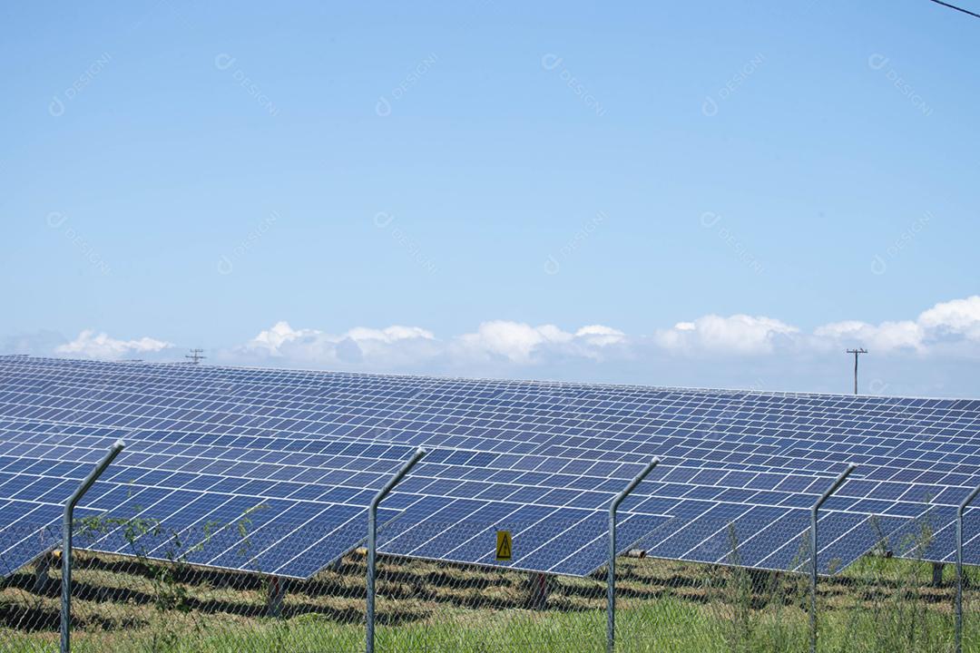 energia verde da fazenda solar da luz do sol mostra muita célula solar