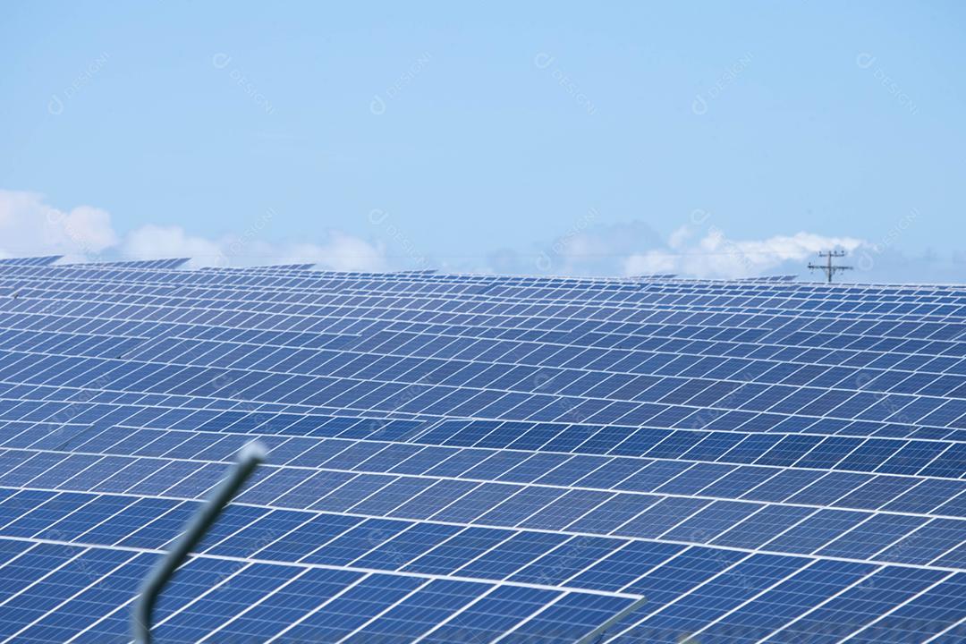 energia verde da fazenda solar da luz do sol mostra muita célula solar