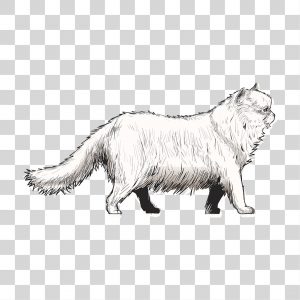 Desenho de filhote de gato [download] - Designi