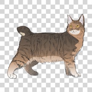Pixel gato fofo no laptop laranja gatinho, Vetor Premium