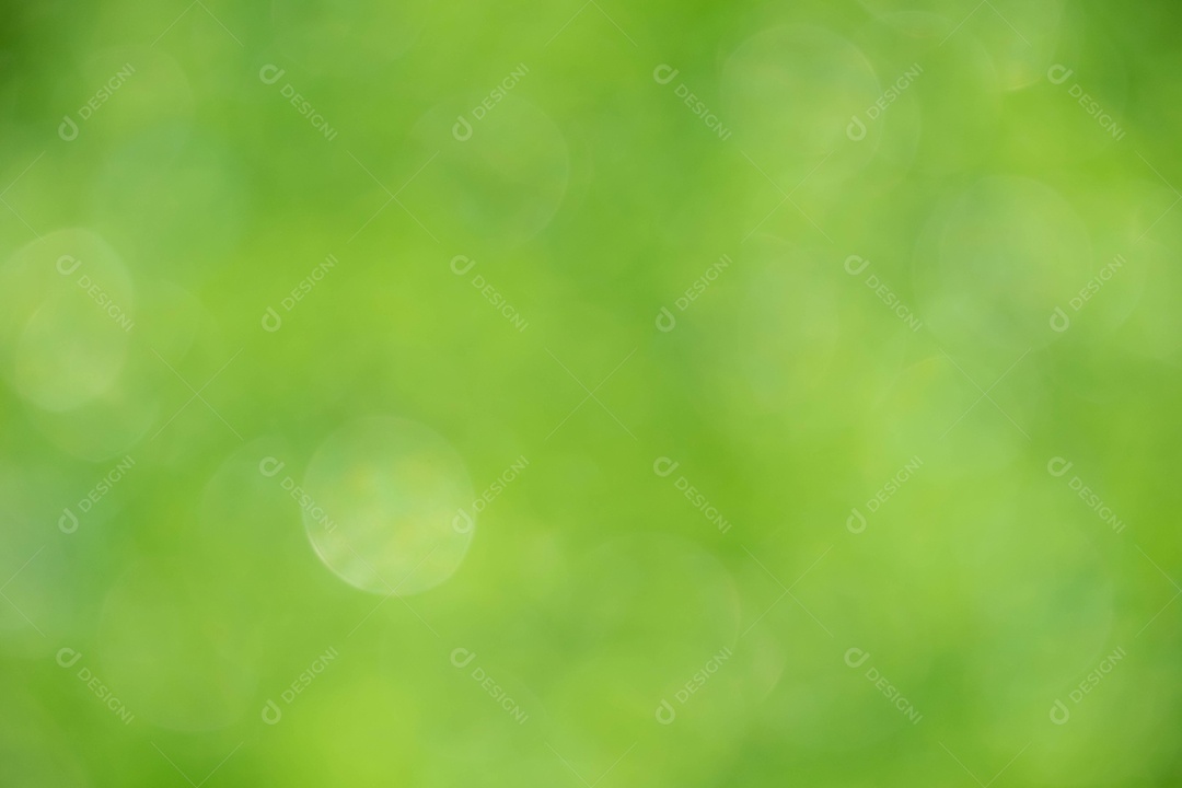 Vista da natureza da folha verde no fundo de vegetação turva no