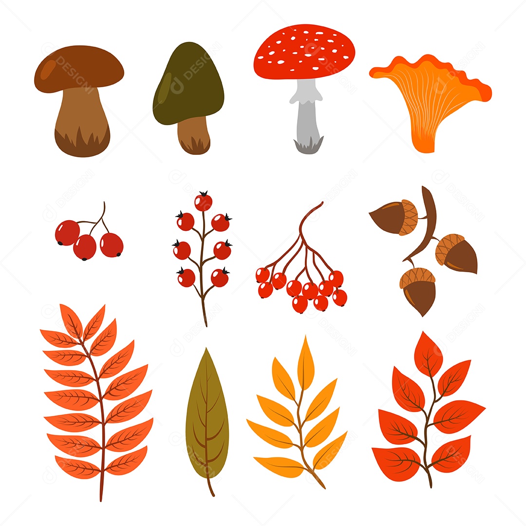Complete a planilha de prática de desenho de outono de cogumelos