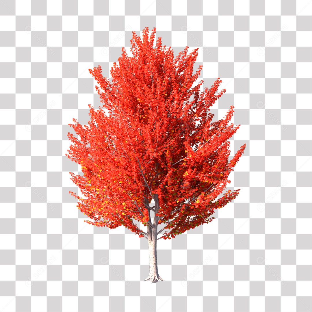 Árvore de Folha vermelha Planta PNG Transparente [download] - Designi