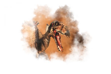 Sinocerátopo  Ilustração de dinossauro, Dinossauro rei, Dinossauro