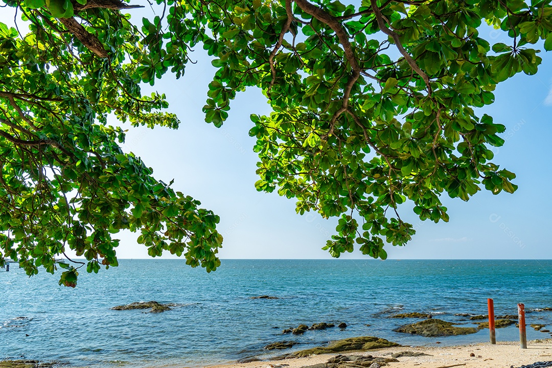 Árvore de guarda-chuva na praia de areia do mar tropical. [download] -  Designi