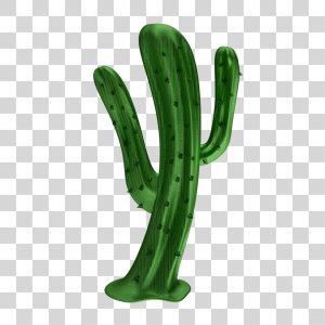 Cactus, Desenho, Coração png transparente grátis