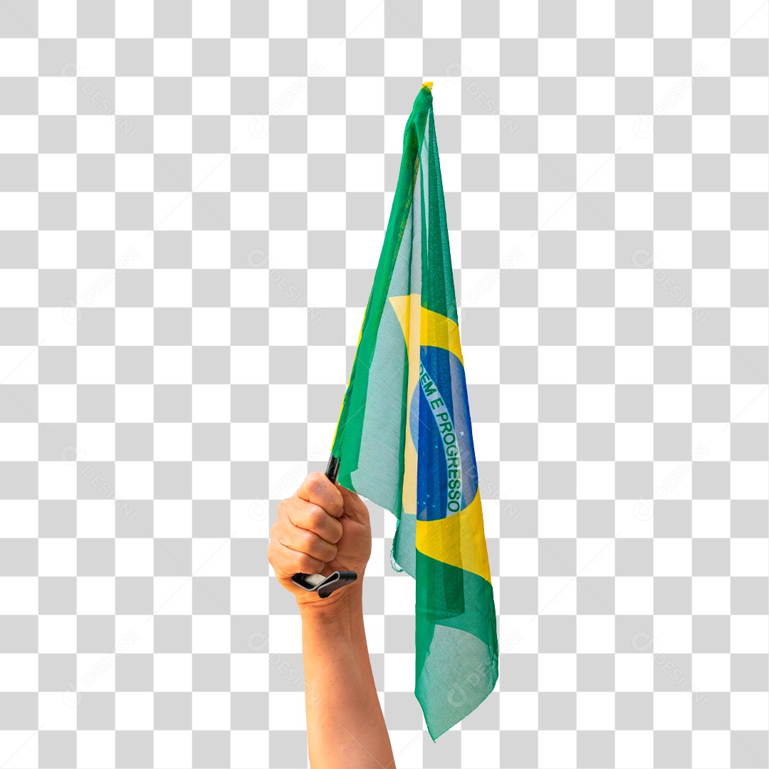 Segurando a Bandeira do Brasil Dia da Independência do Brasil PNG  Transparente [download] - Designi