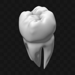 Dente - Modelo 3D