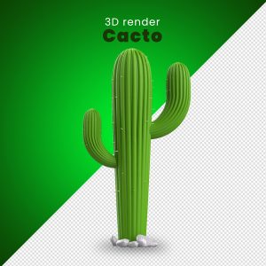 Elemento 3D Para Composição Cacto PNG Transparente [download