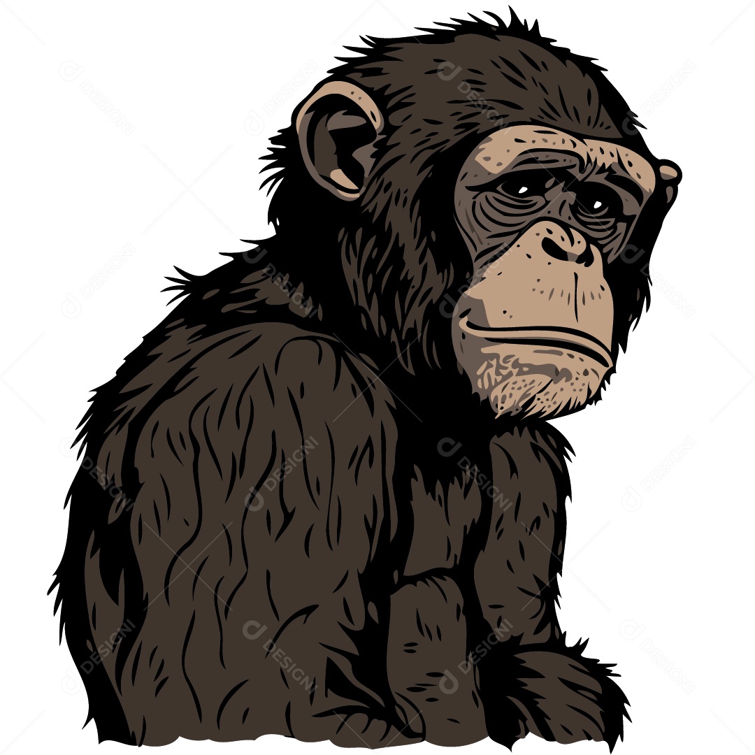 Vetores e ilustrações de Macaco desenho realista para download gratuito